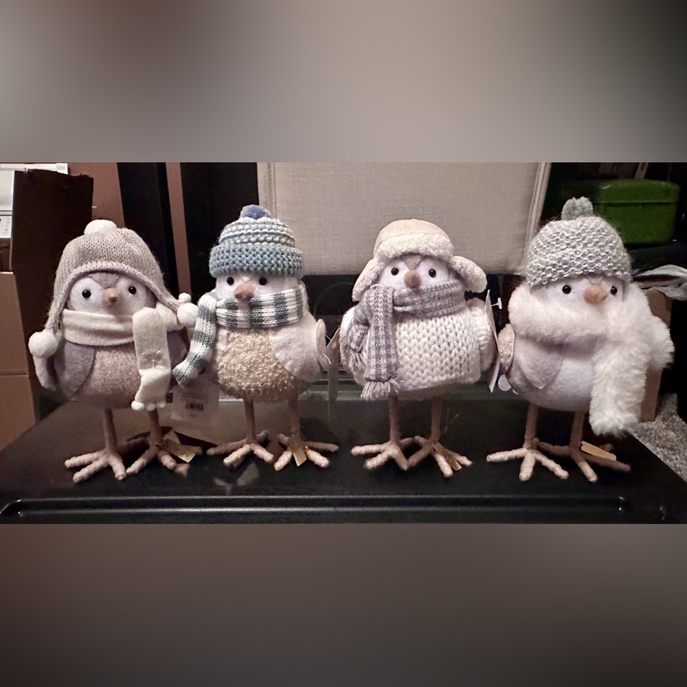 2022 Target Wondershop Featherly Friends Set of 4 Bundle